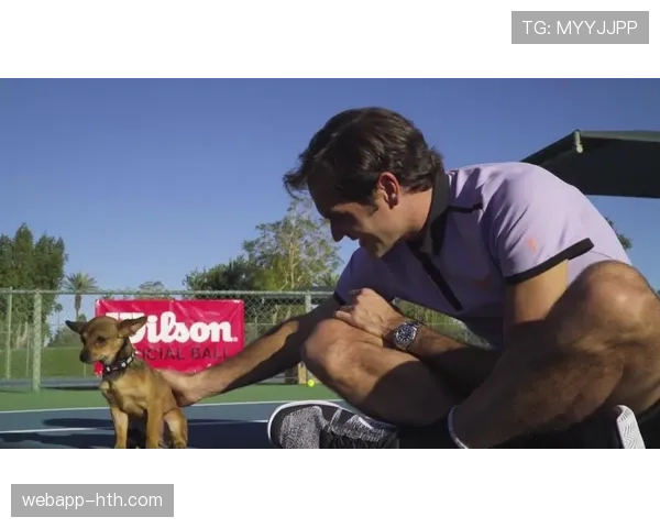 费德勒遛狗那根狗绳价格把我一个月工资打回原形